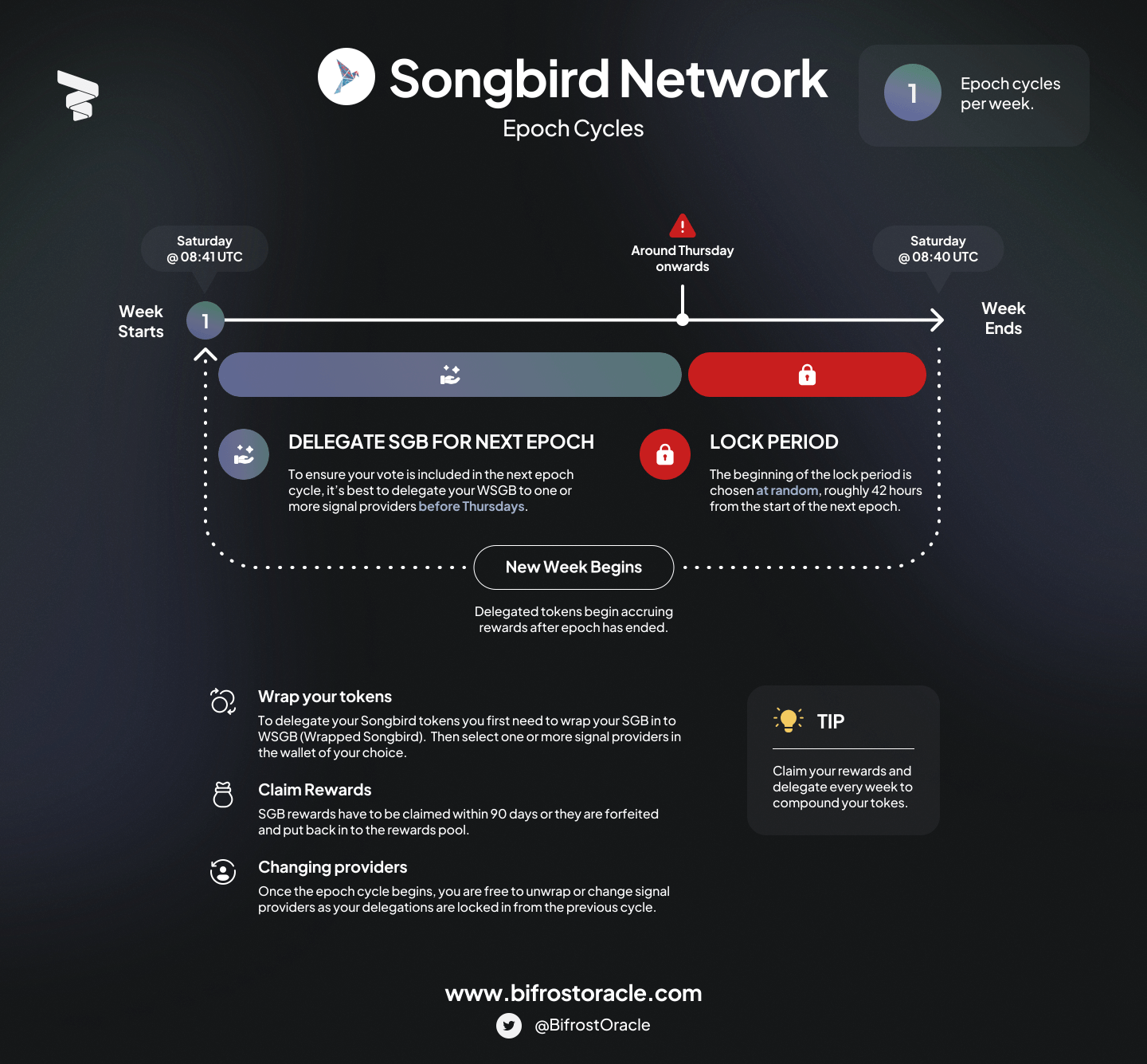 Songbird Epoch Cycle
